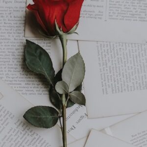 Atestado Médico de Óbito